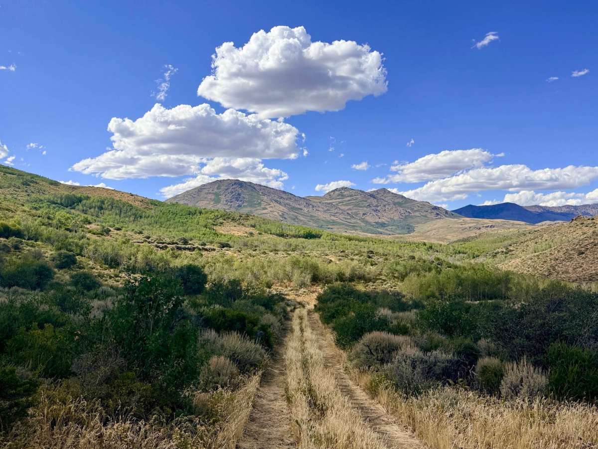 Deadman Springs - FS 56219 trail photo