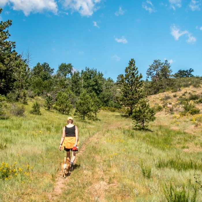 Near Lariat Trail + Stone Temple Circuit