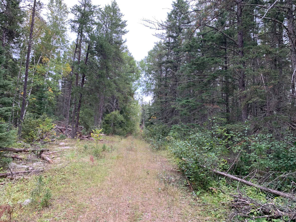 Northwest Spur B Trail - FS 373B photo 4