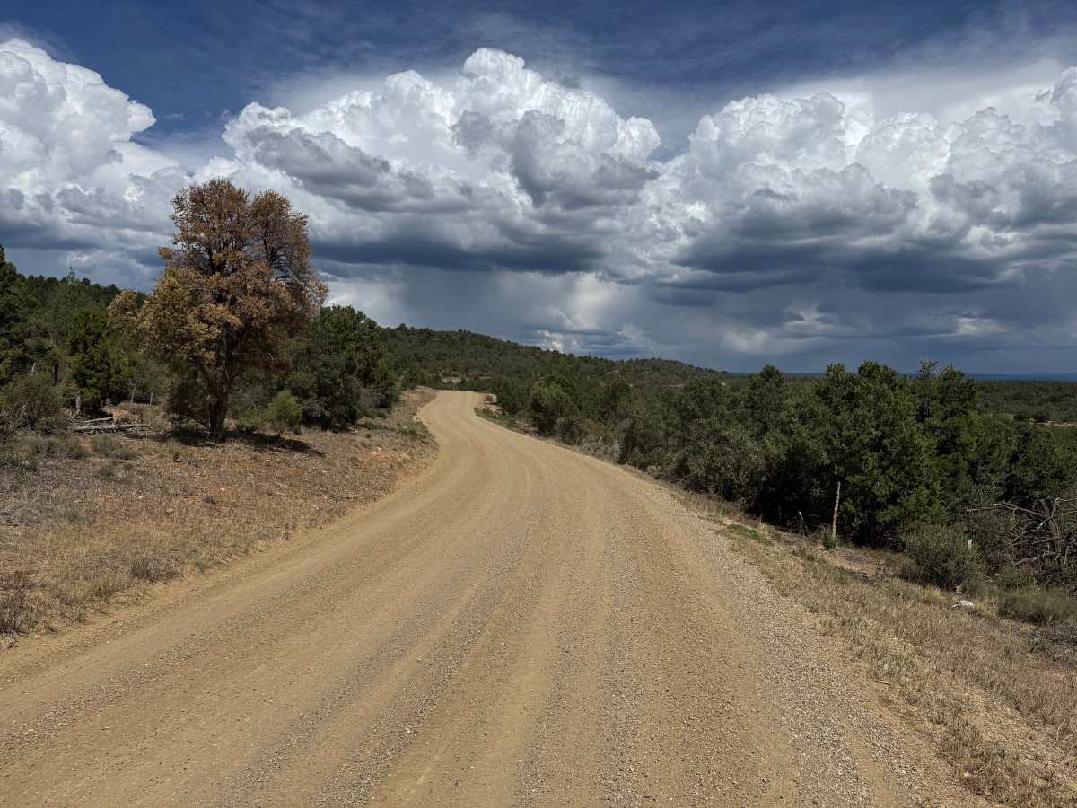 Hay Camp Mesa Road trail photo