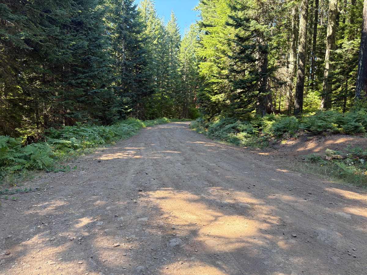 Upper Neal Creek Road photo 6