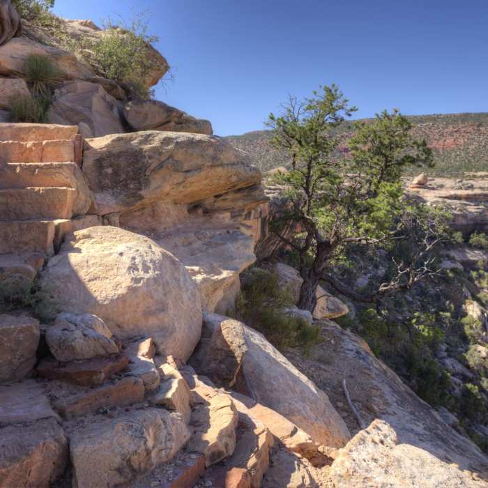 Near Kachina Bridge Trail
