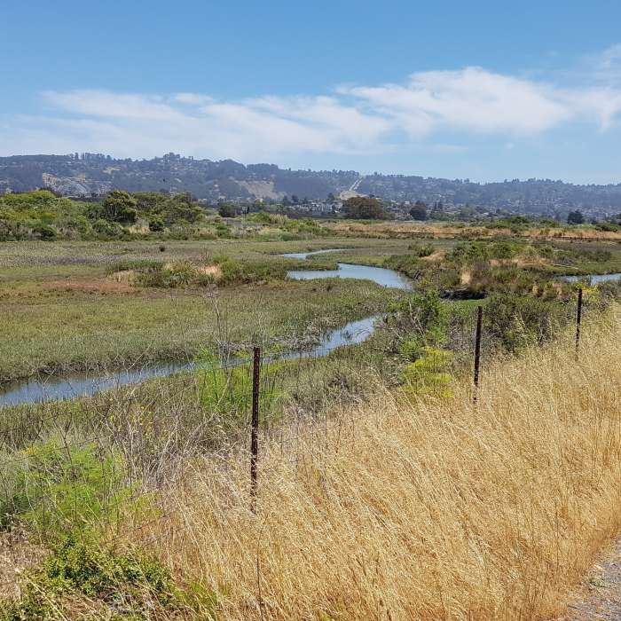 Near Richmond Marina Bay Trail