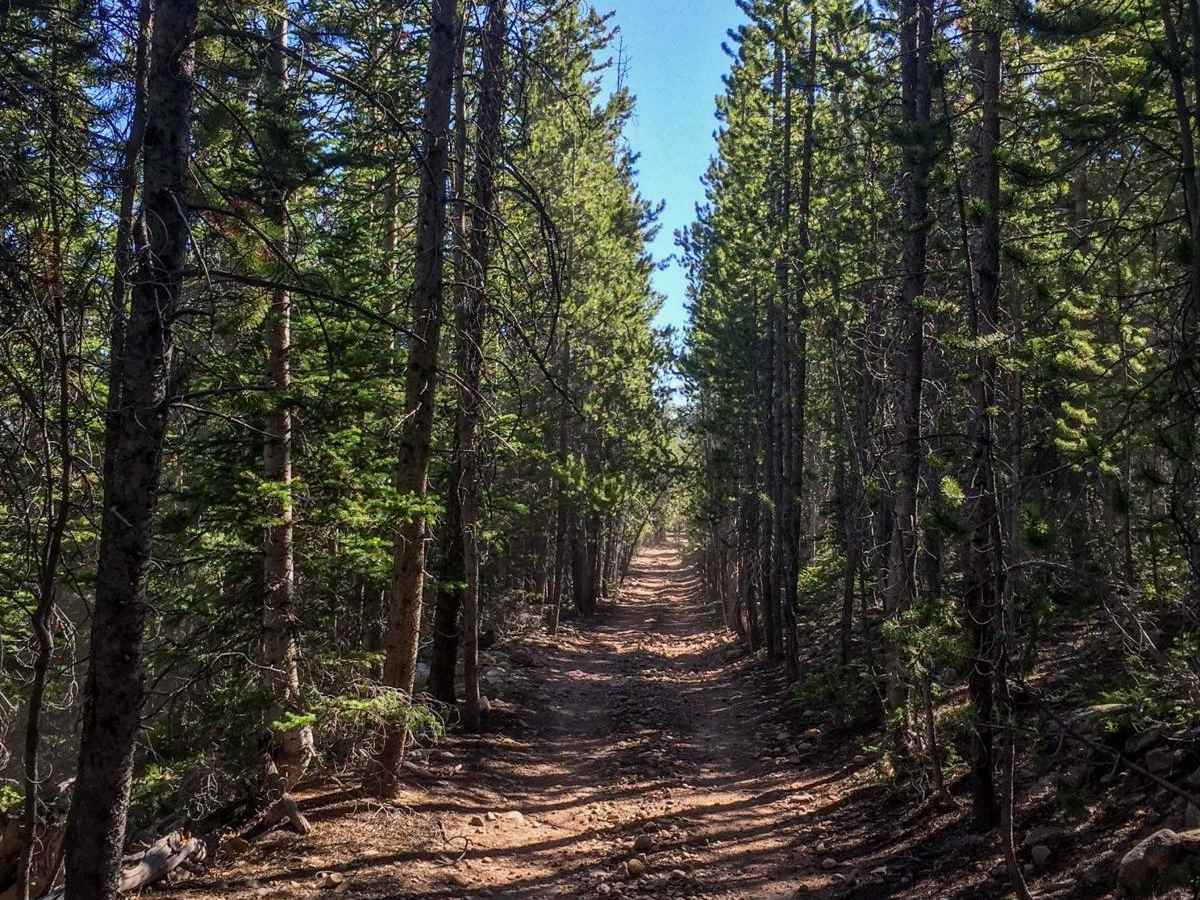 Lily Lake and Wolverine ATV Trail photo 6