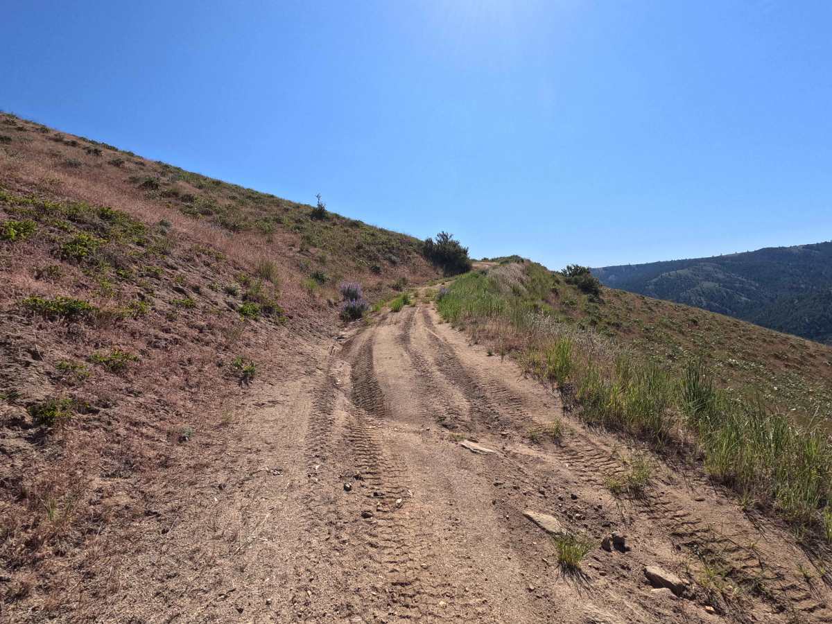 Powerline Road - FS 5303 photo 5