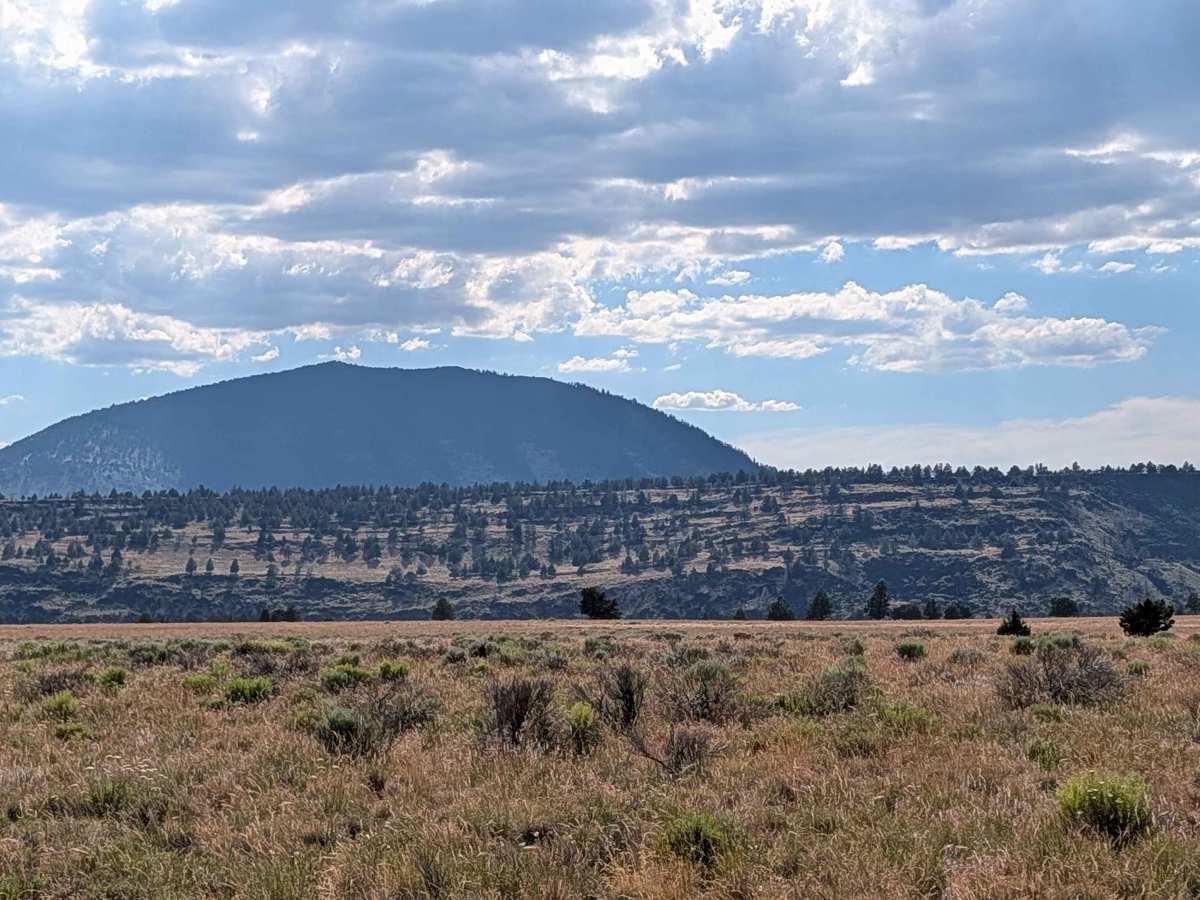 Sheep Camp Butte - FS 47N18 photo 6