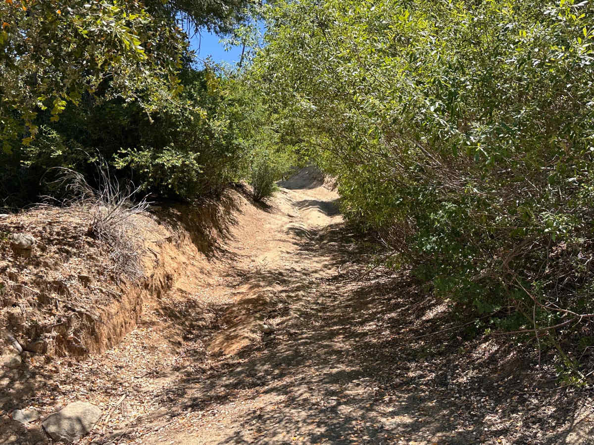 Firebreak Trail photo 6