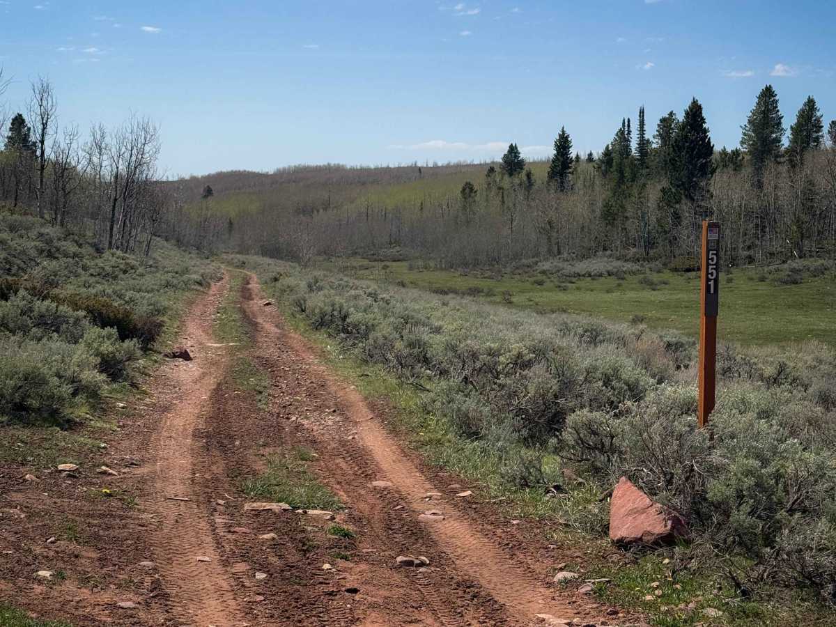 Kabell Hollow #551  trail photo