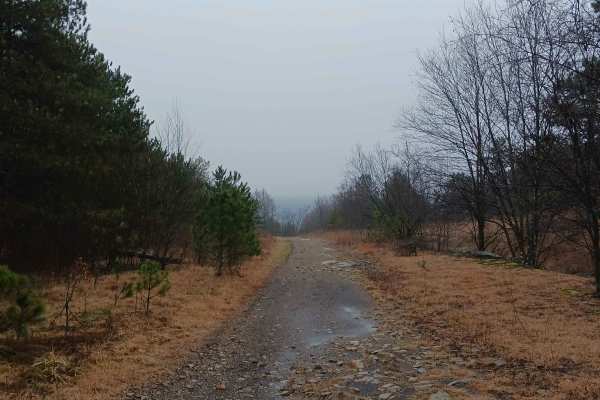 The Strip - Rock Run Recreation Area