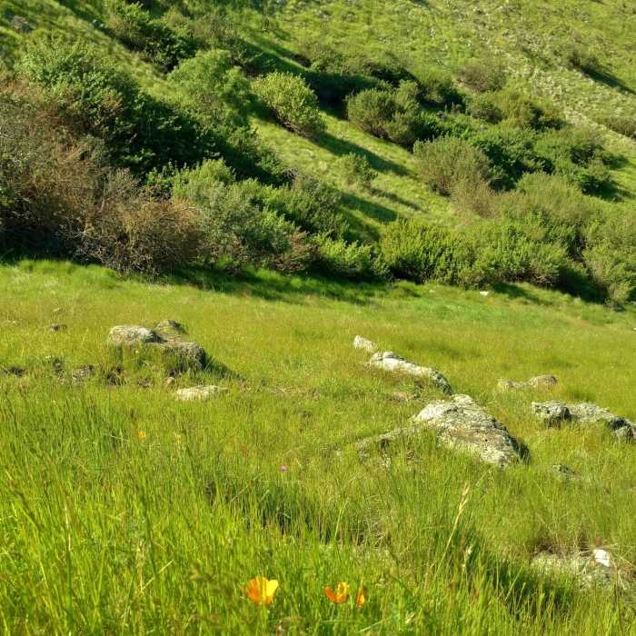 Near Joice Trail