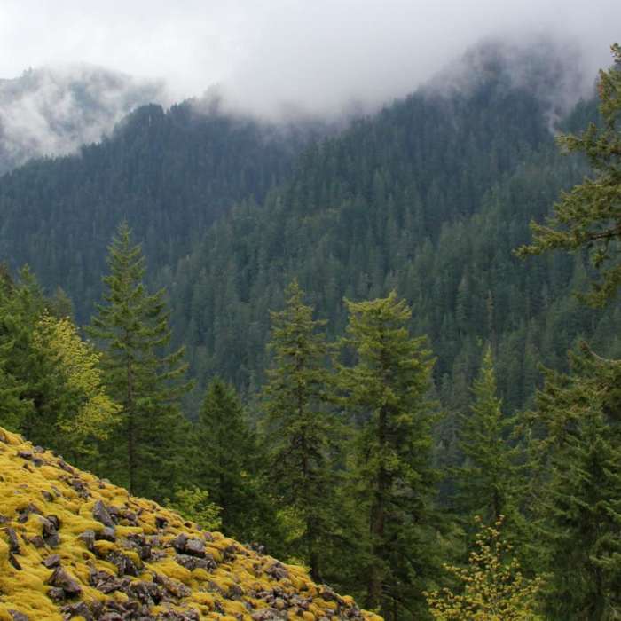 Near Ruckel Ridge Loop Hike