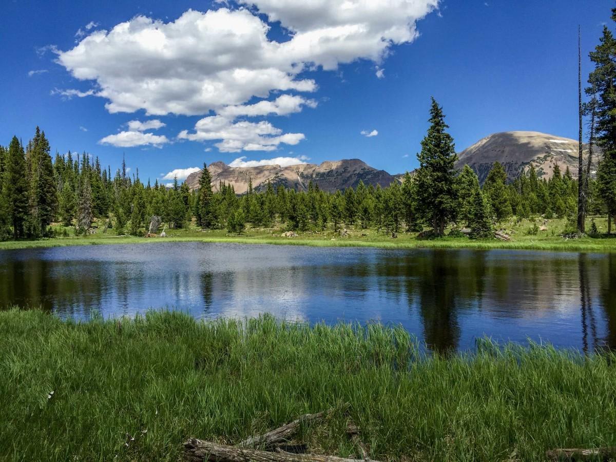 Murdock Basin photo 2