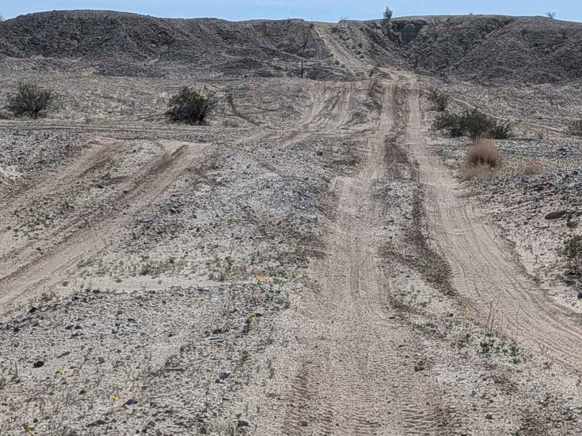 BLM 189 photo 6