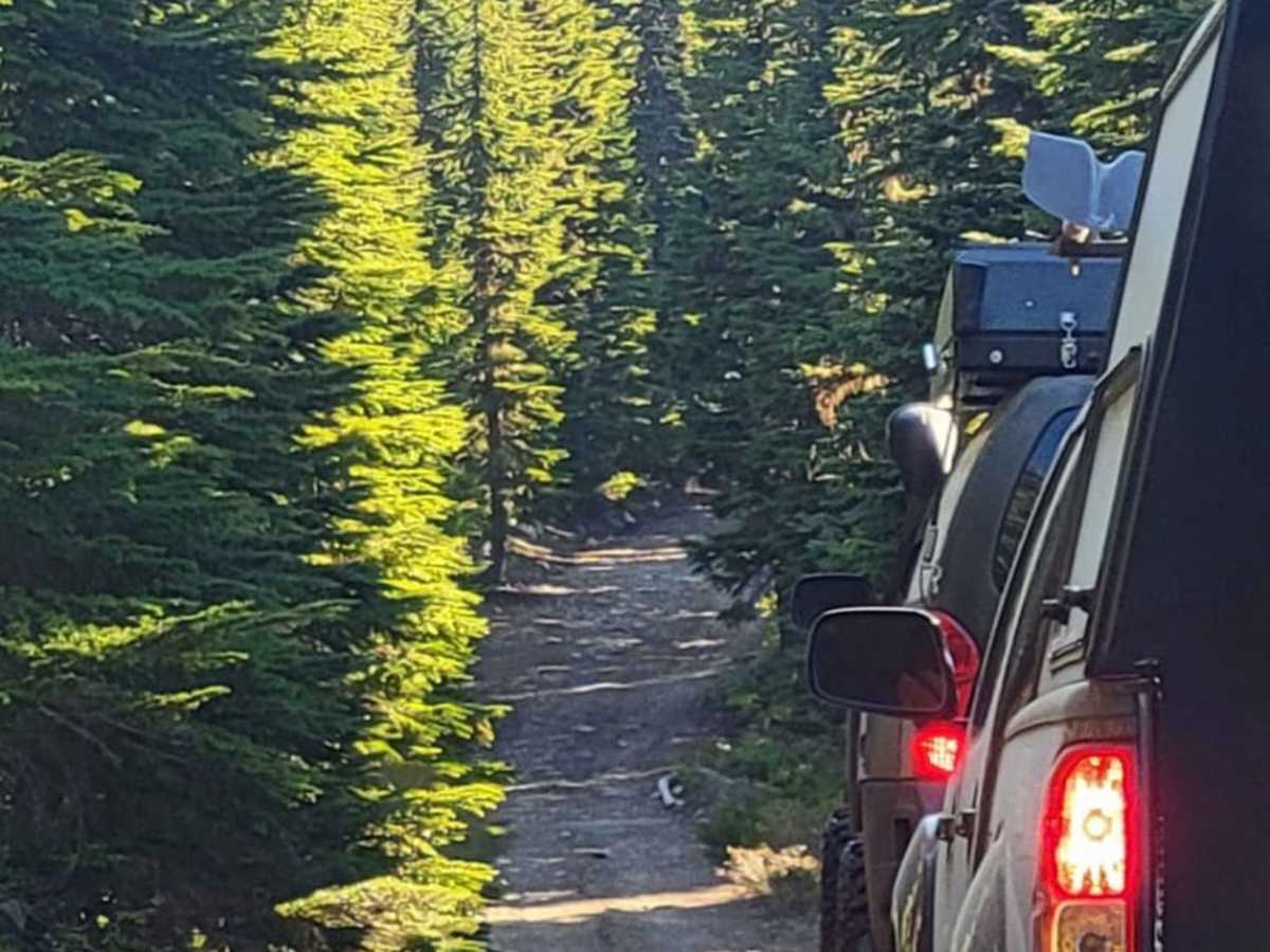 Bennett Pass 2 photo 6
