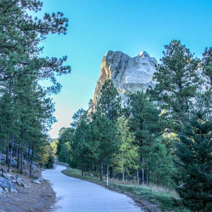 Near Presidential Trail