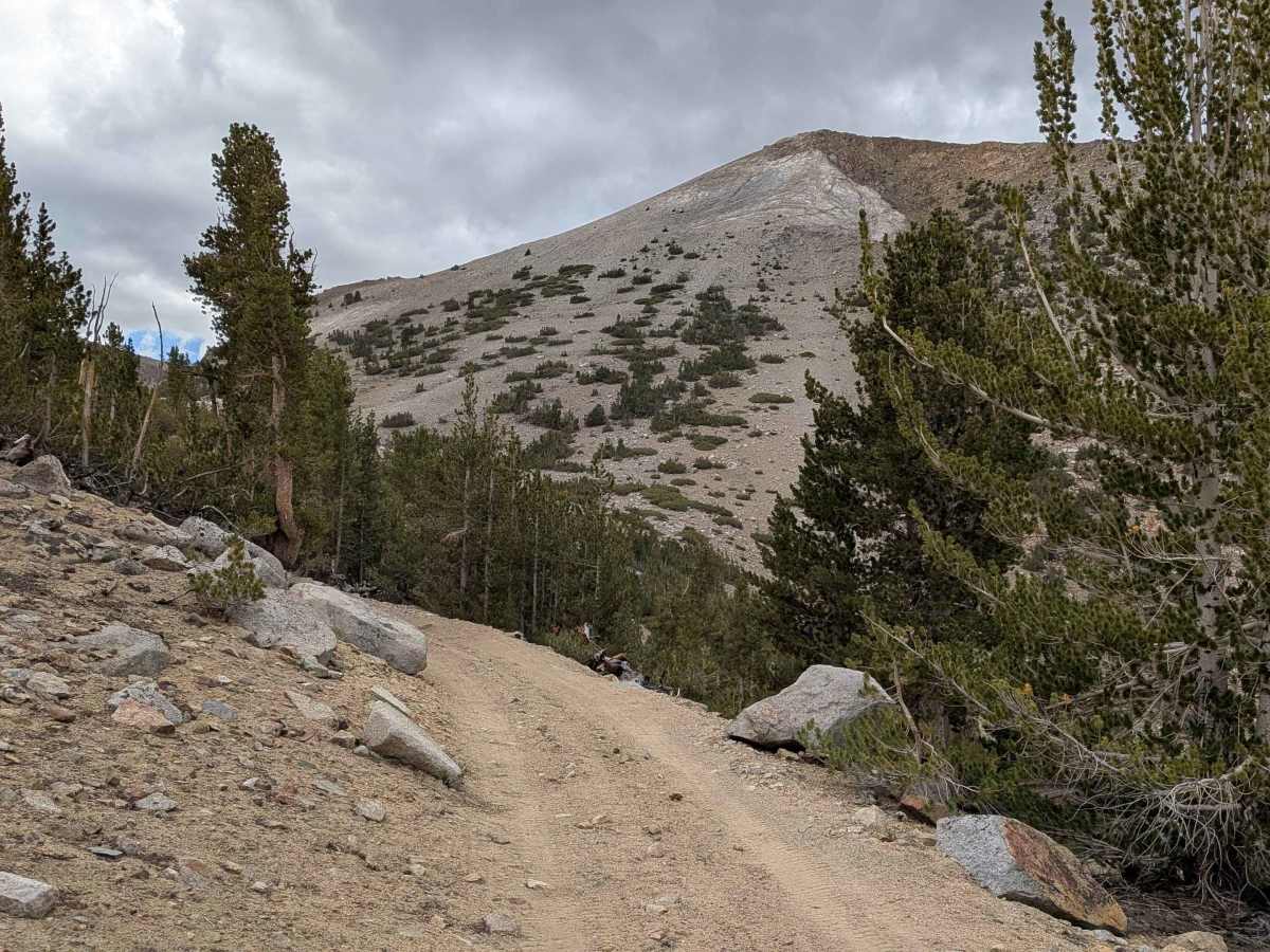 Coyote Lake Trail - FS 31E304 photo 5