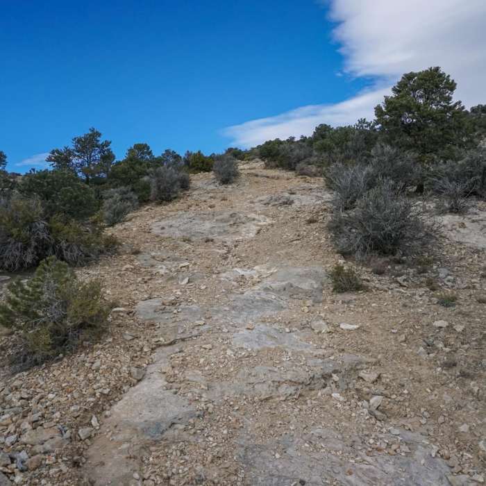 Near Whorehouse Hill Loop