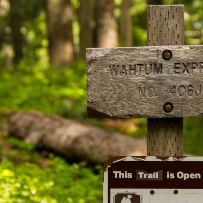 Near Chinidere Mountain + Wahtum Lake Hike