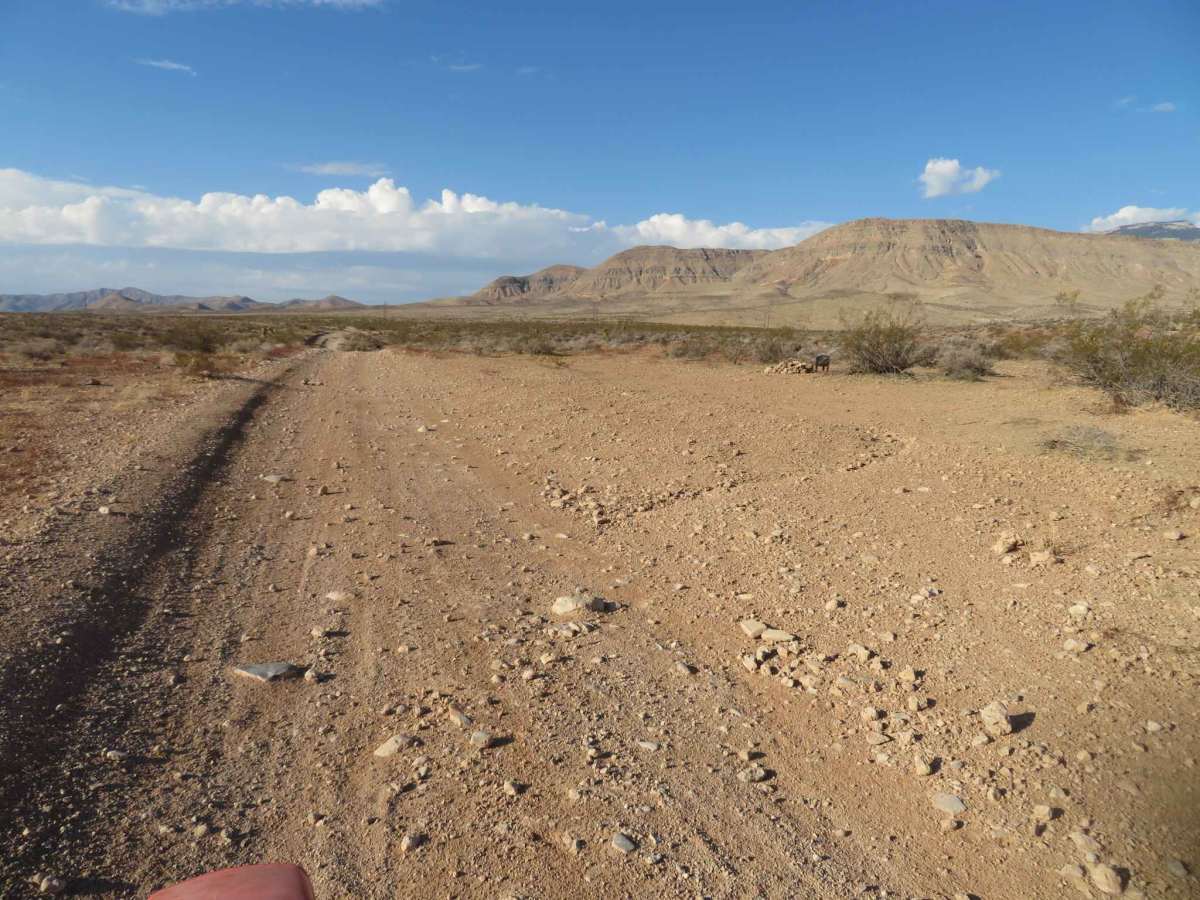 Blue Diamond BLM Trail Access photo 2