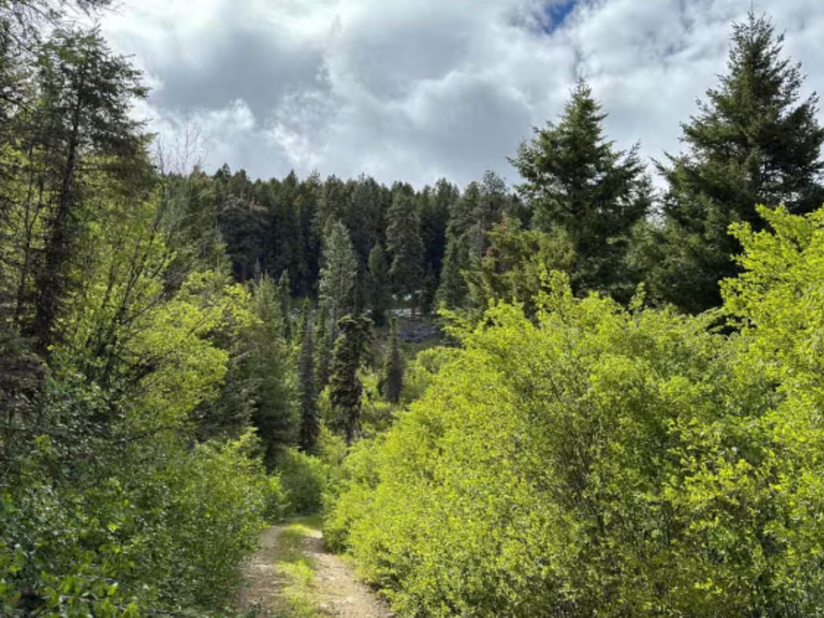 Upper Spoon Creek photo 6