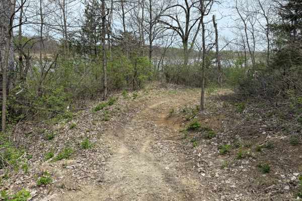 Trail #5