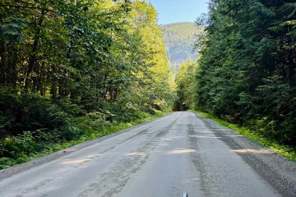 Hicks Lake Road 