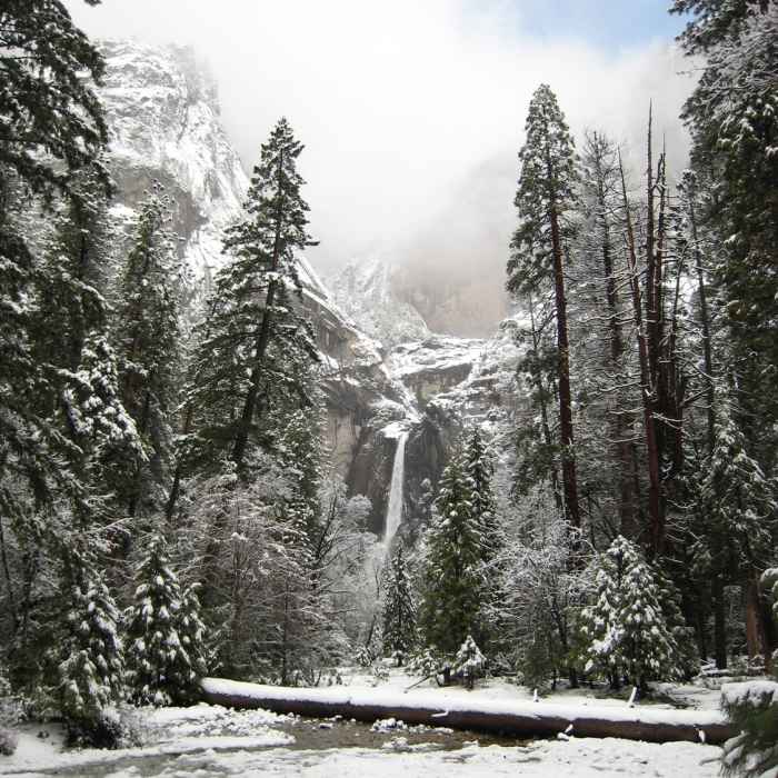 Lower Yosemite Falls in the snow. Near Lower Yosemite Fall Trail