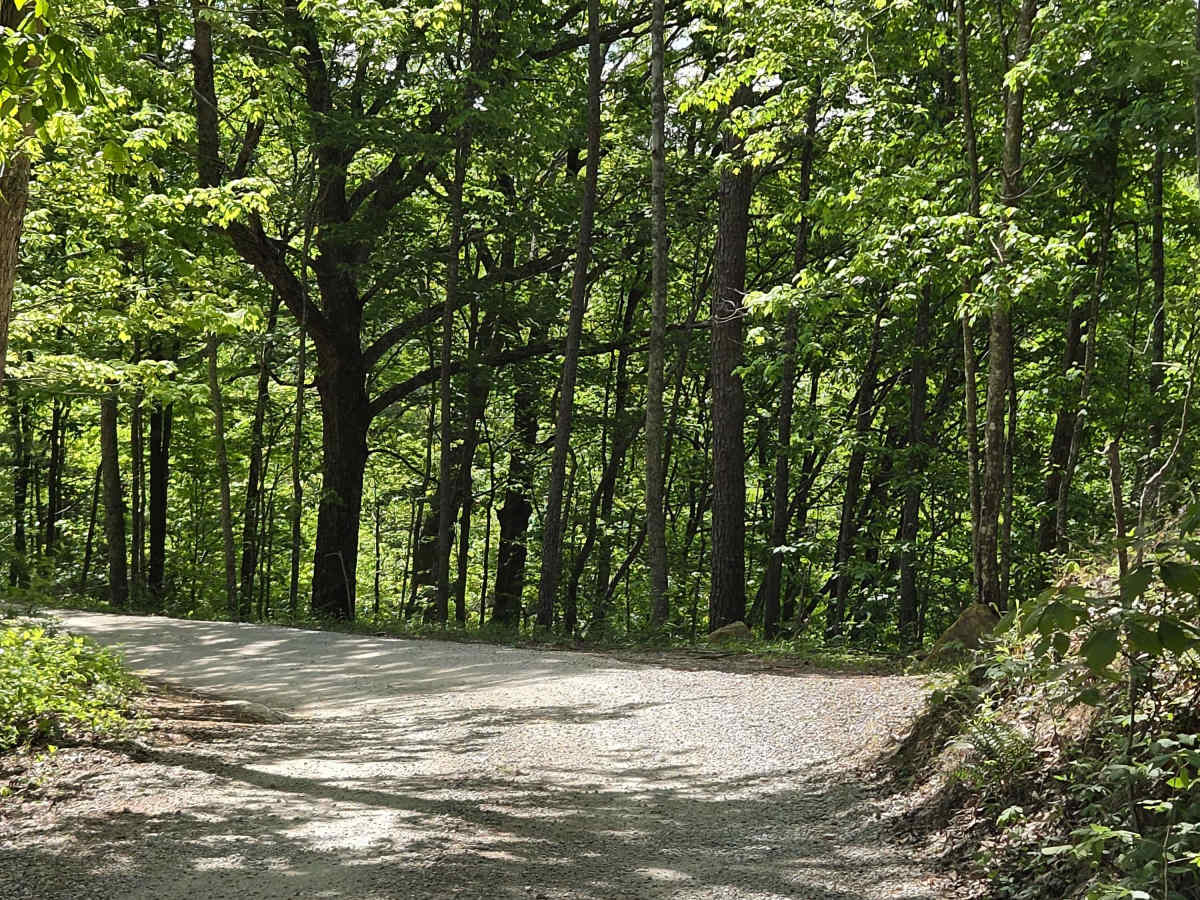 Indian Valley/Arrowhead Trace photo 3