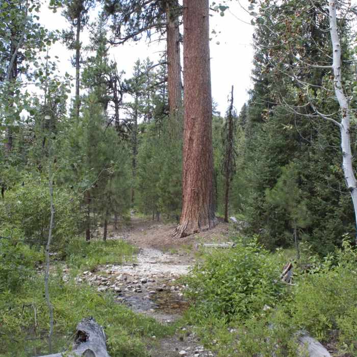 Near China Basin to Joe Daley Creek