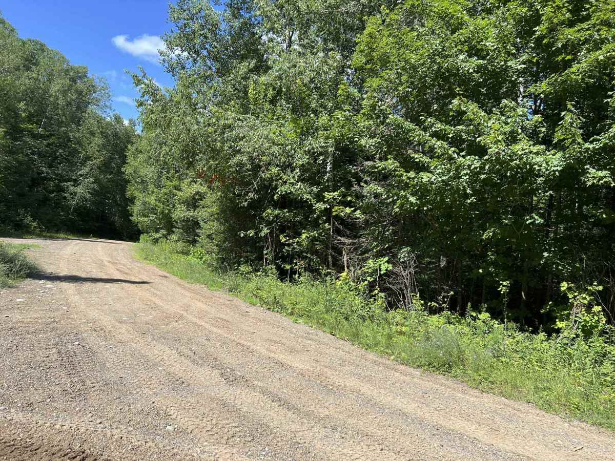 FS 2423 trail photo