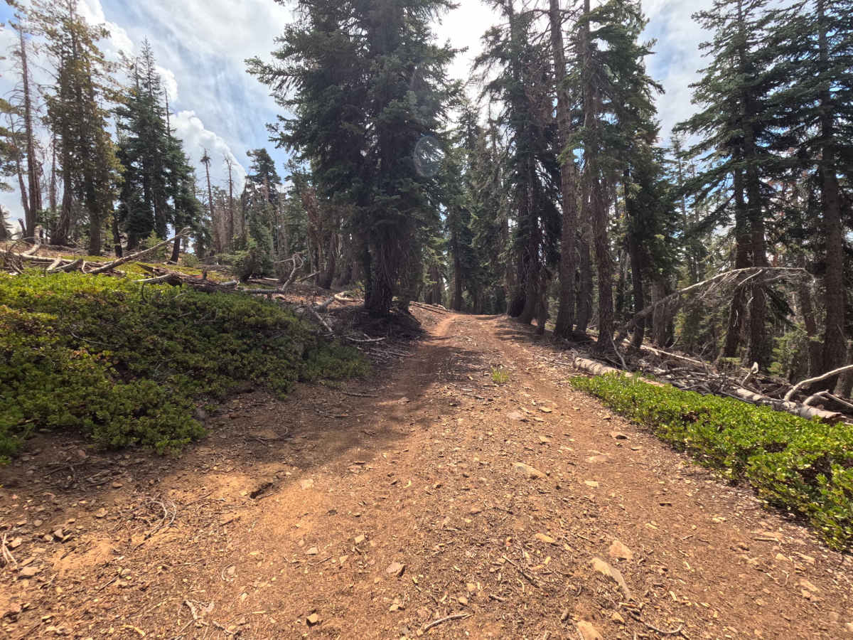 Quartz Mountain Top - FS 5S040XD photo 5