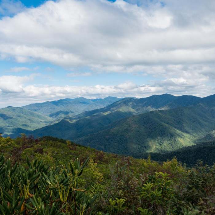 Near Mount LeConte via Trillium Gap + Boulevard Trail Near Mount LeConte via Trillium Gap + Boulevard Trail