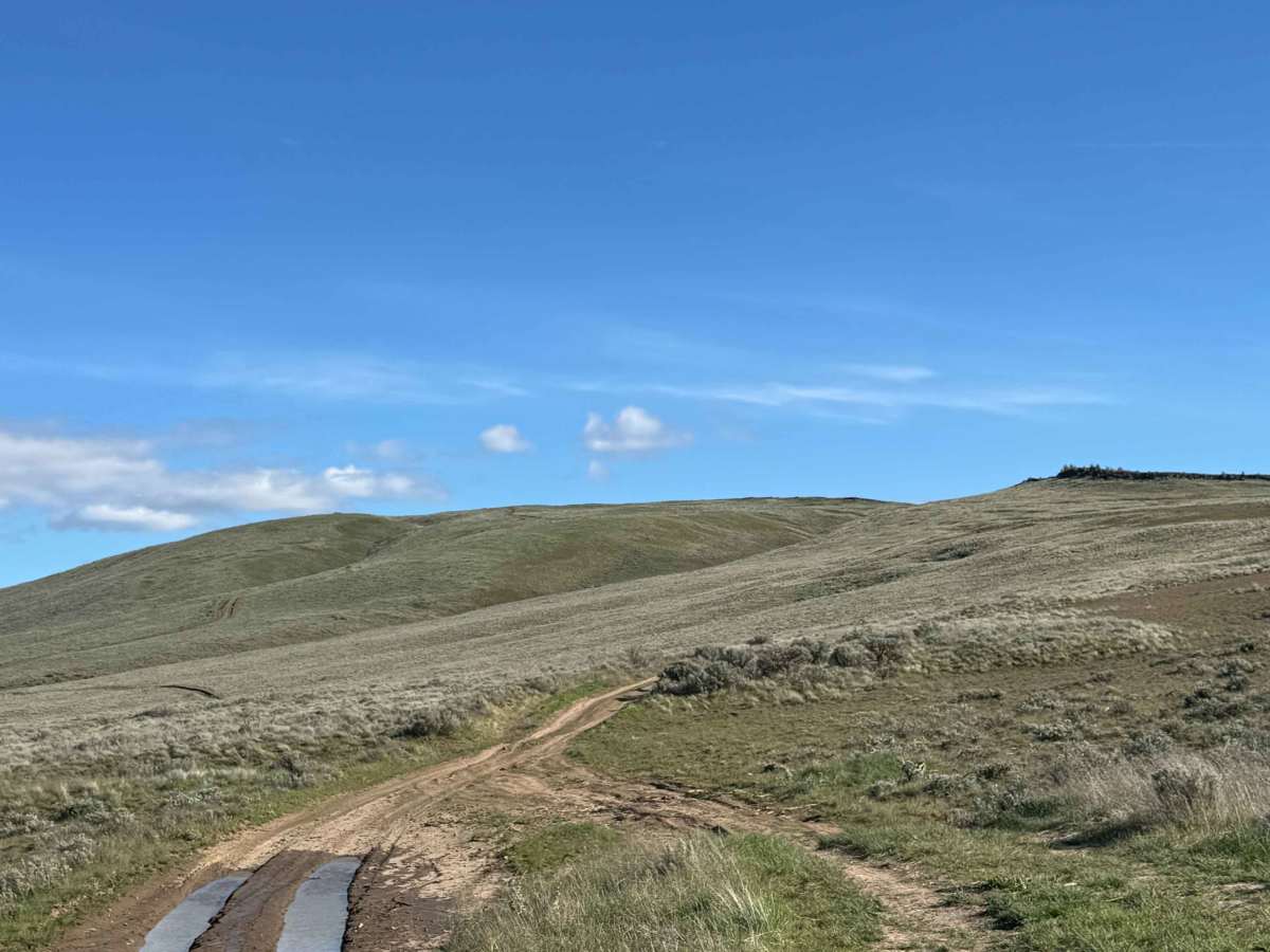 Buffalo Ridge Road photo 2
