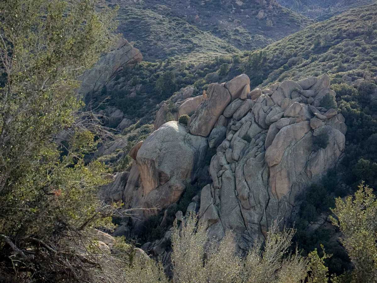 H1335/BLM 7127 photo 4