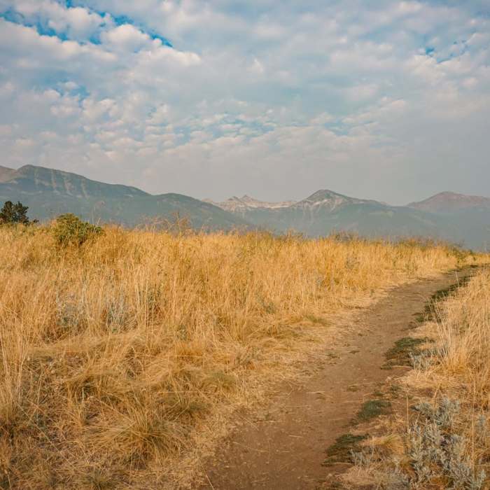 Near Iwetemlaykin State Heritage Site