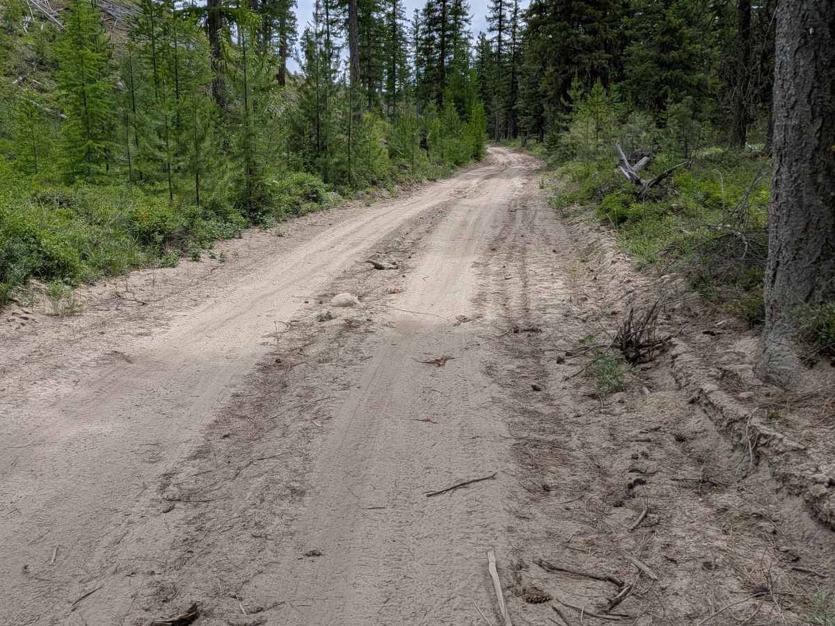 Woody Mountain Road photo 4