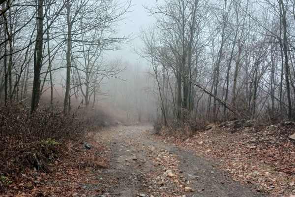 Between Rock - Rock Run Recreation Area