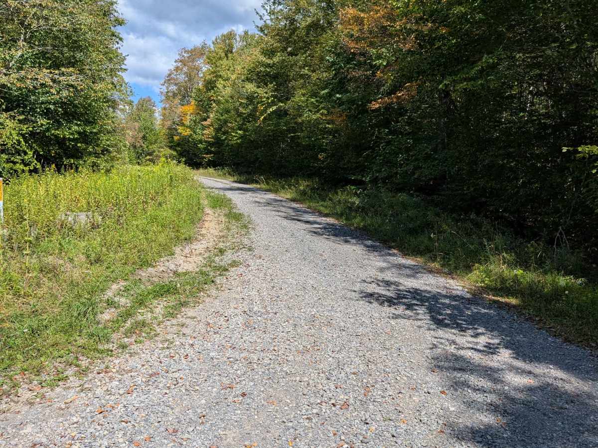 Owl Knob Hollow Connector photo 3