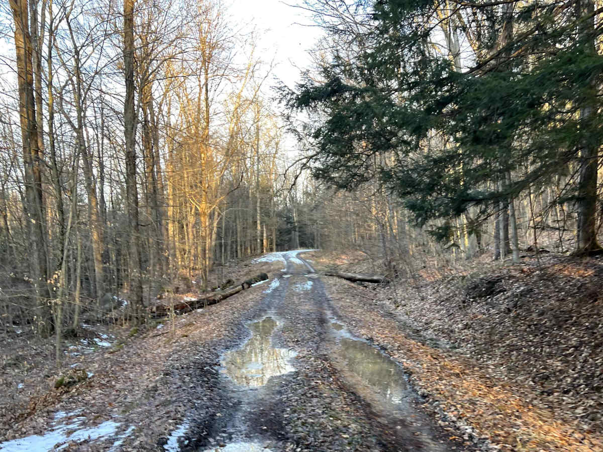 Meade Run Trail - FS 457A photo 2