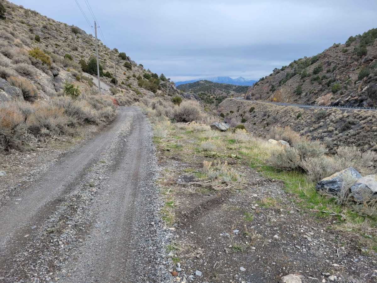 Pinyon Creek photo 3