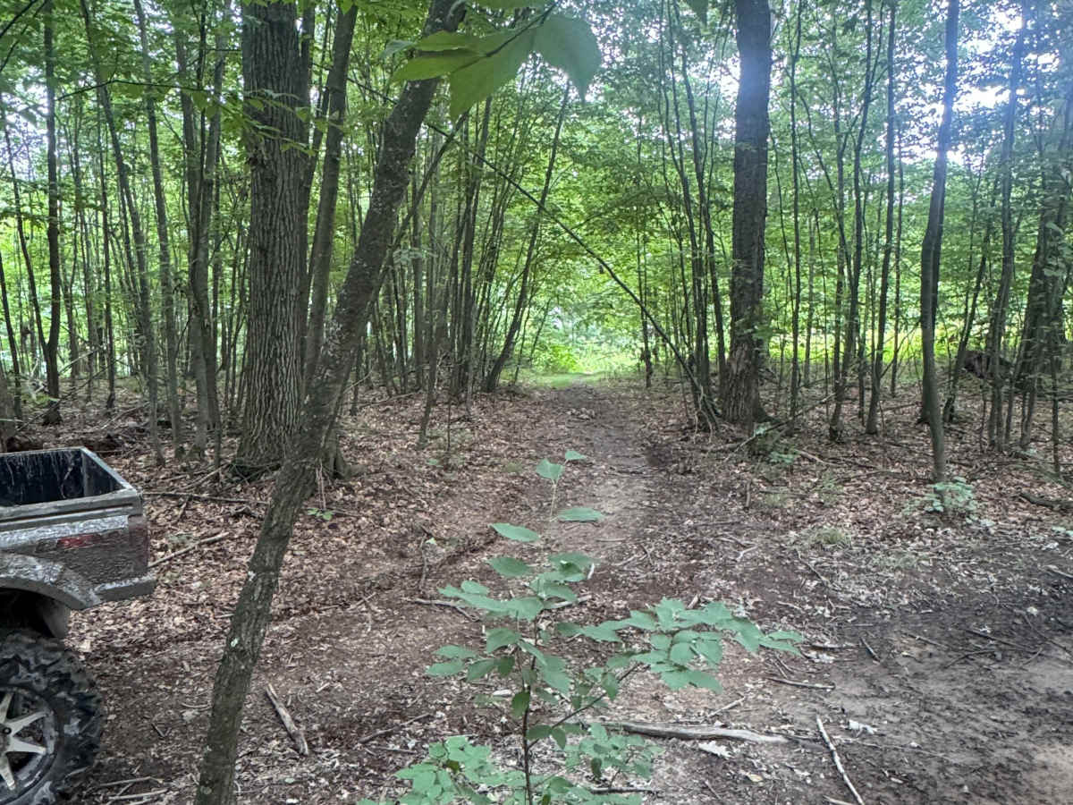 Trail 80 photo 5