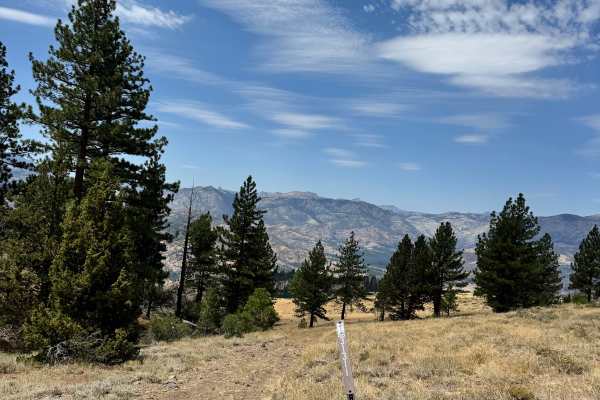 Circle Peak Road - FS 31311