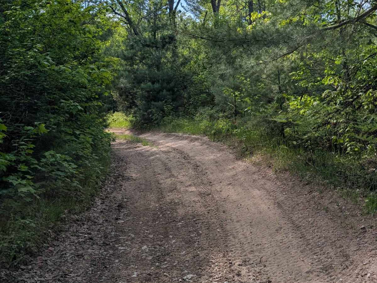 North Missaukee Route (section 2) photo 3