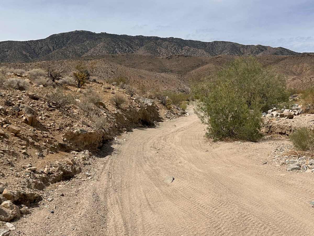 Buckhorn Trail photo 5