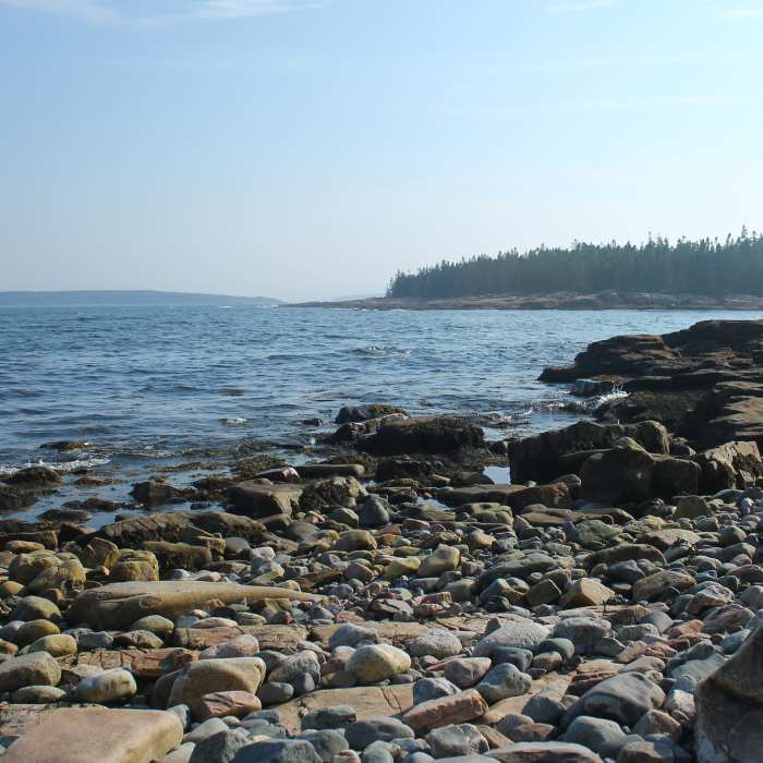 Near Wonderland Trail