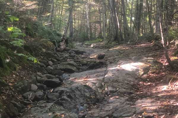 Cobble Hill Road Trail