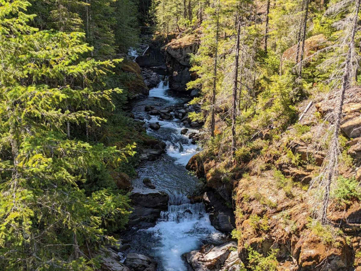 Hamma Hamma Falls trail photo