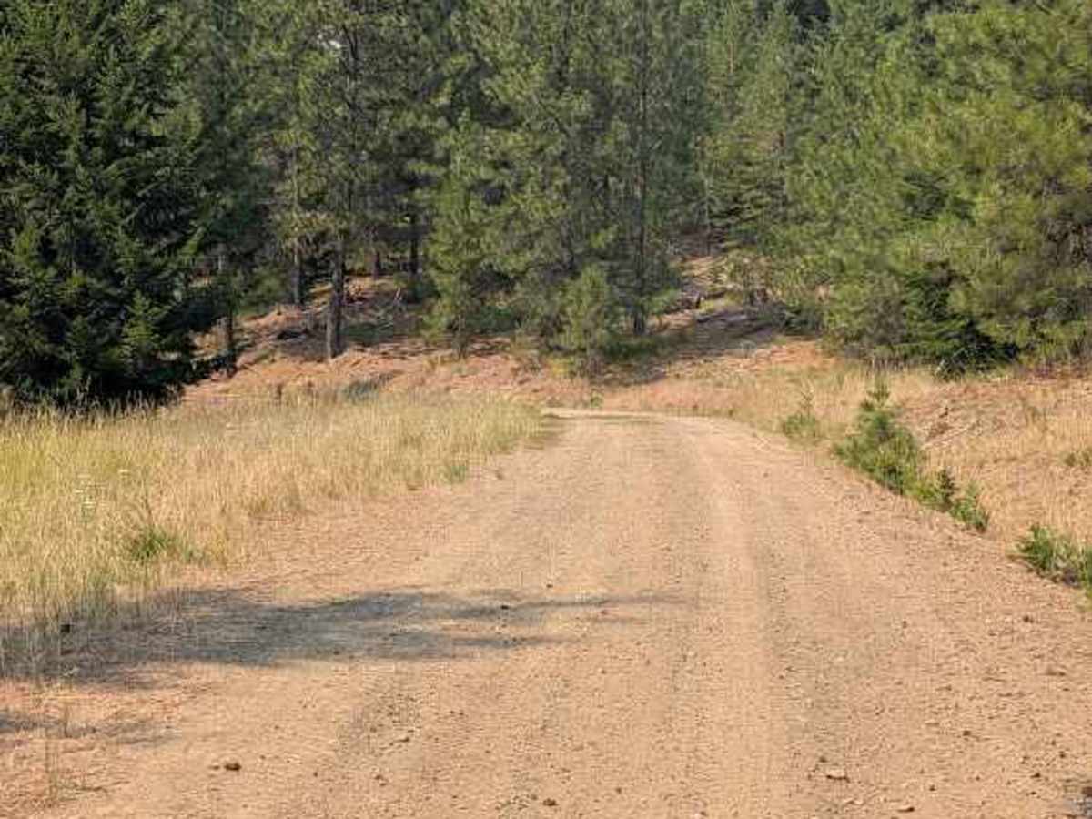 Pearson Creek Road photo 4