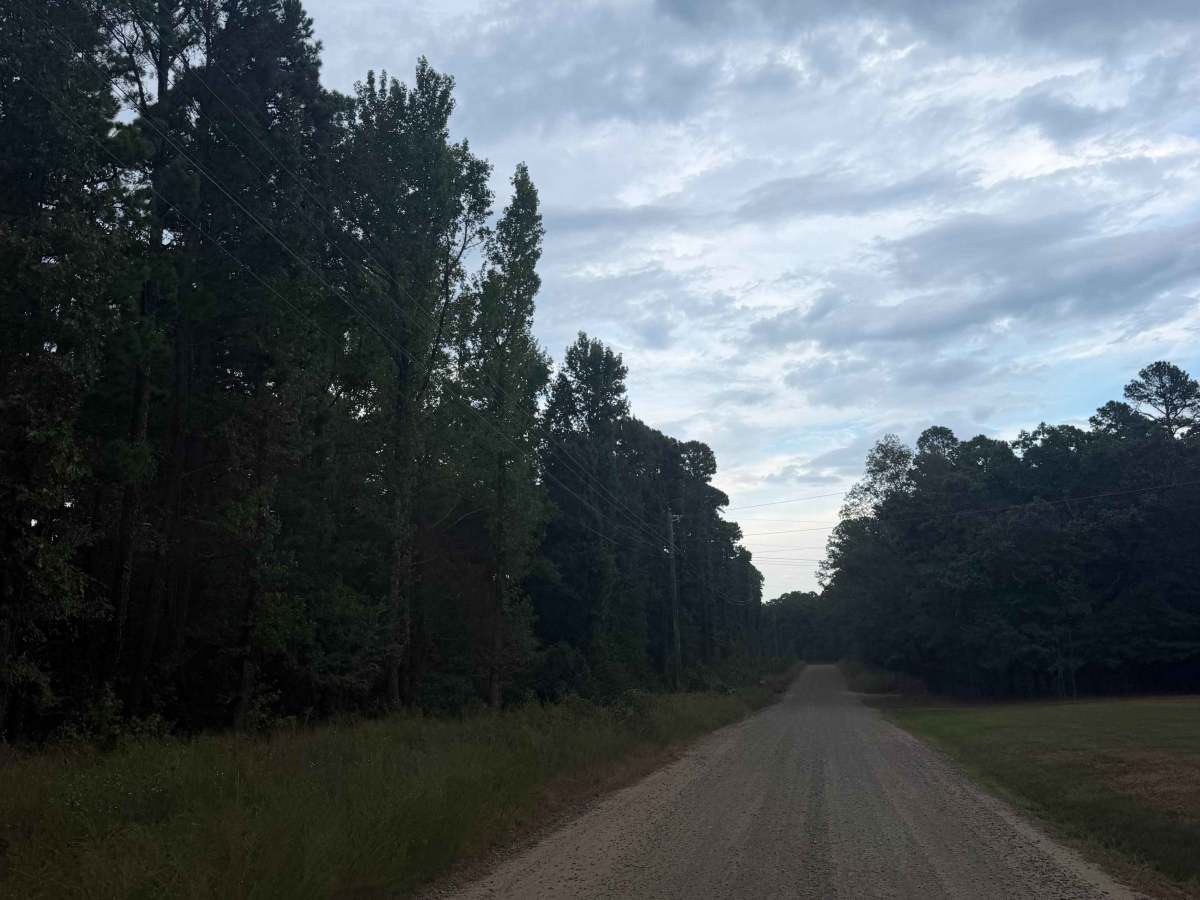 Trail 86 photo 3