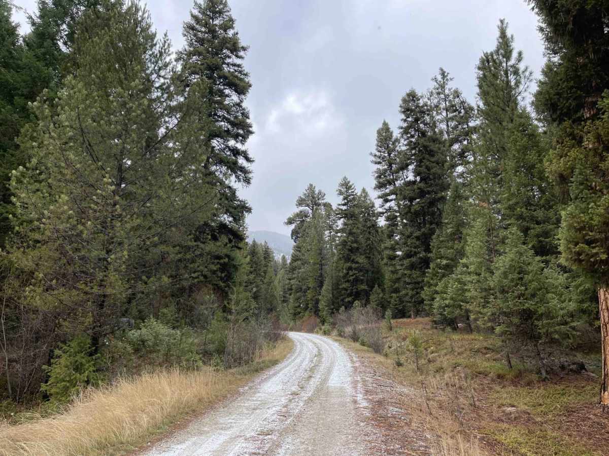 Trapper Creek Trailhead photo 5